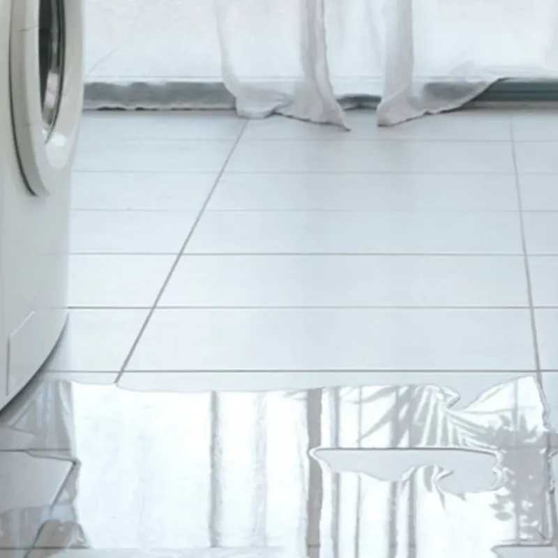 Appliance Leak Cleanup in Nokomis, FL