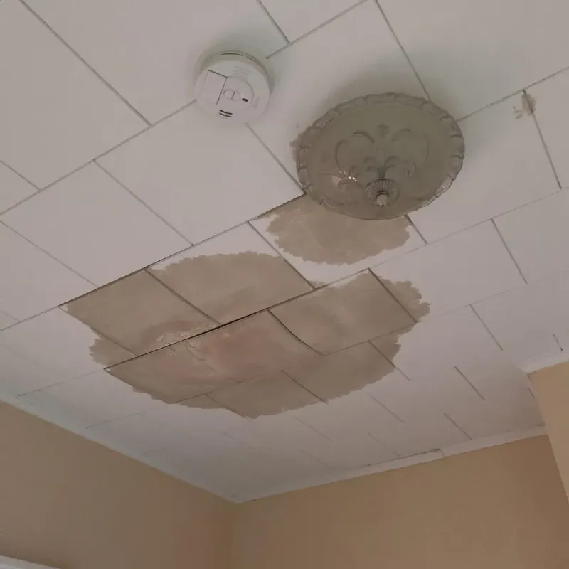 Ceiling Water Damage Repair in Nokomis, FL